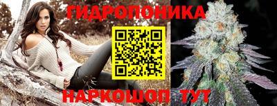 винт Тара