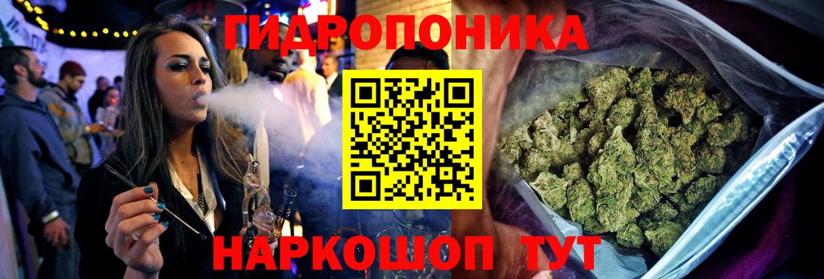 Мурино  Шишки марихуана тримм  Канабис индика  Вход с VPN 